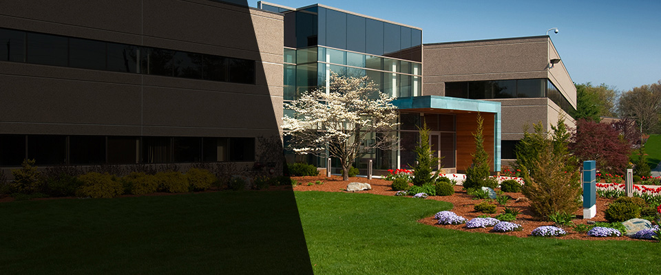 Sibley Landscapers