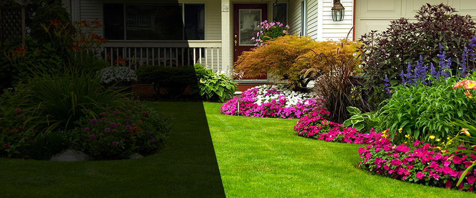 Sibley Landscapers