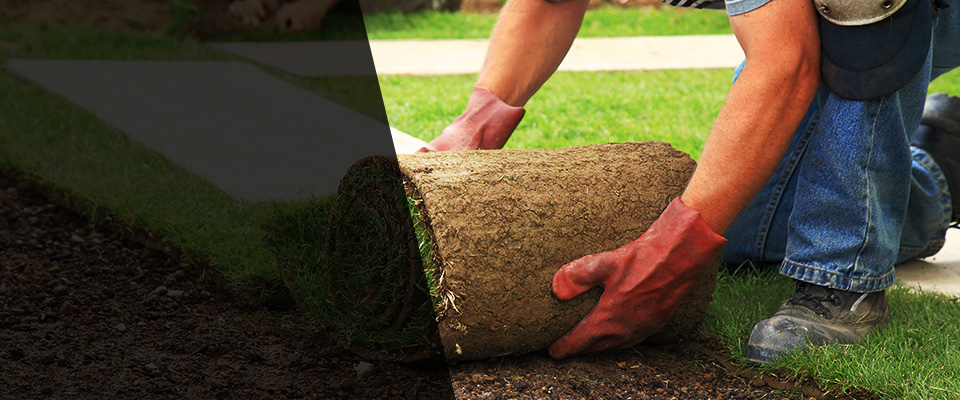 Sibley Landscapers